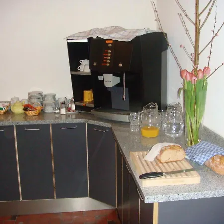 卡萨达芬奇住宿加早餐酒店 住宿加早餐酒店 洛迦诺